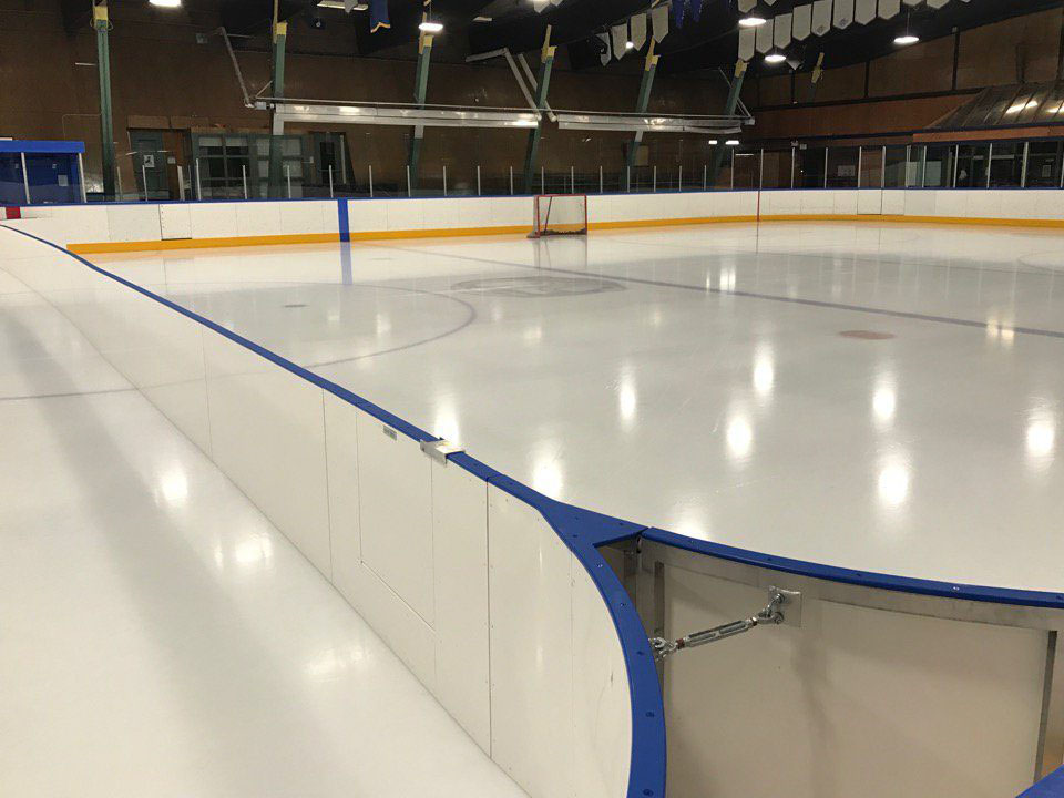 Hockey Swapping Panels